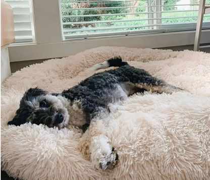 Fluffy Pet Bed™️ World's #1 Anxiety Relieving Dog Bed