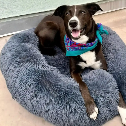Fluffy Pet Bed™️ World's #1 Anxiety Relieving Dog Bed