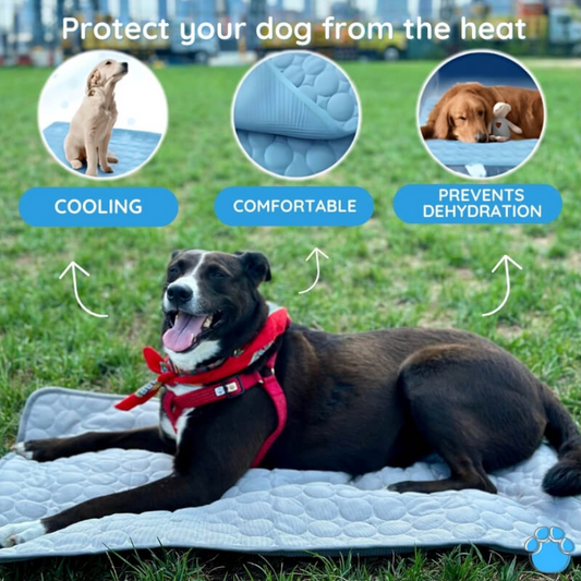 Fluffy Pet Bed™️ - Ultimate Cooling Mat for Pets